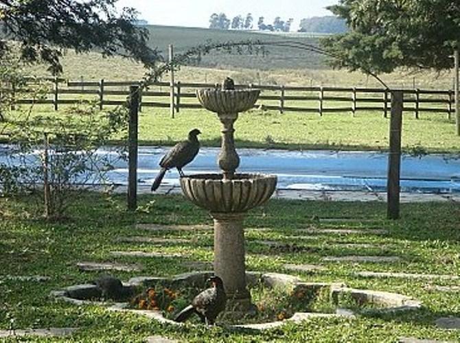 Pousada Chacara Das Roseiras Bagé Exterior foto