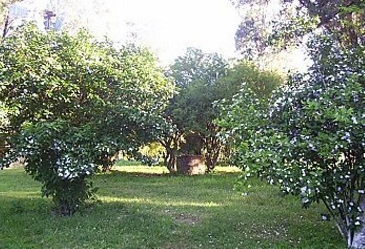 Pousada Chacara Das Roseiras Bagé Exterior foto